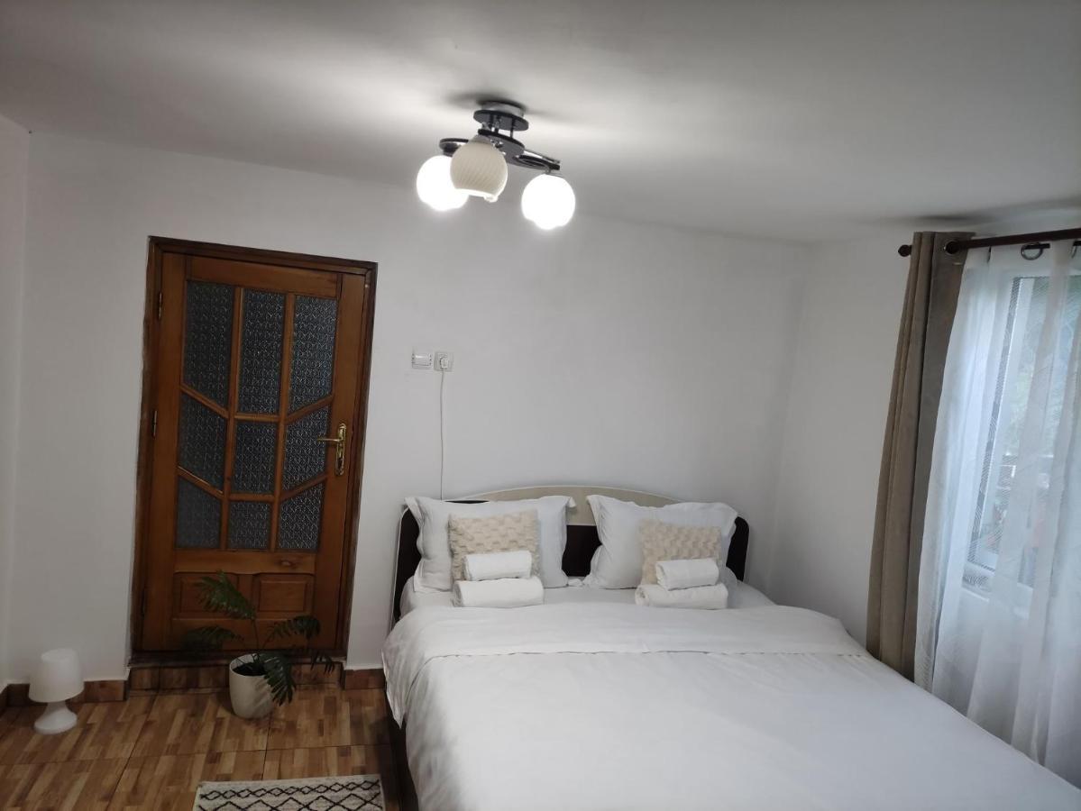 Casa Carbunaru Tîrgu Ocna Екстериор снимка