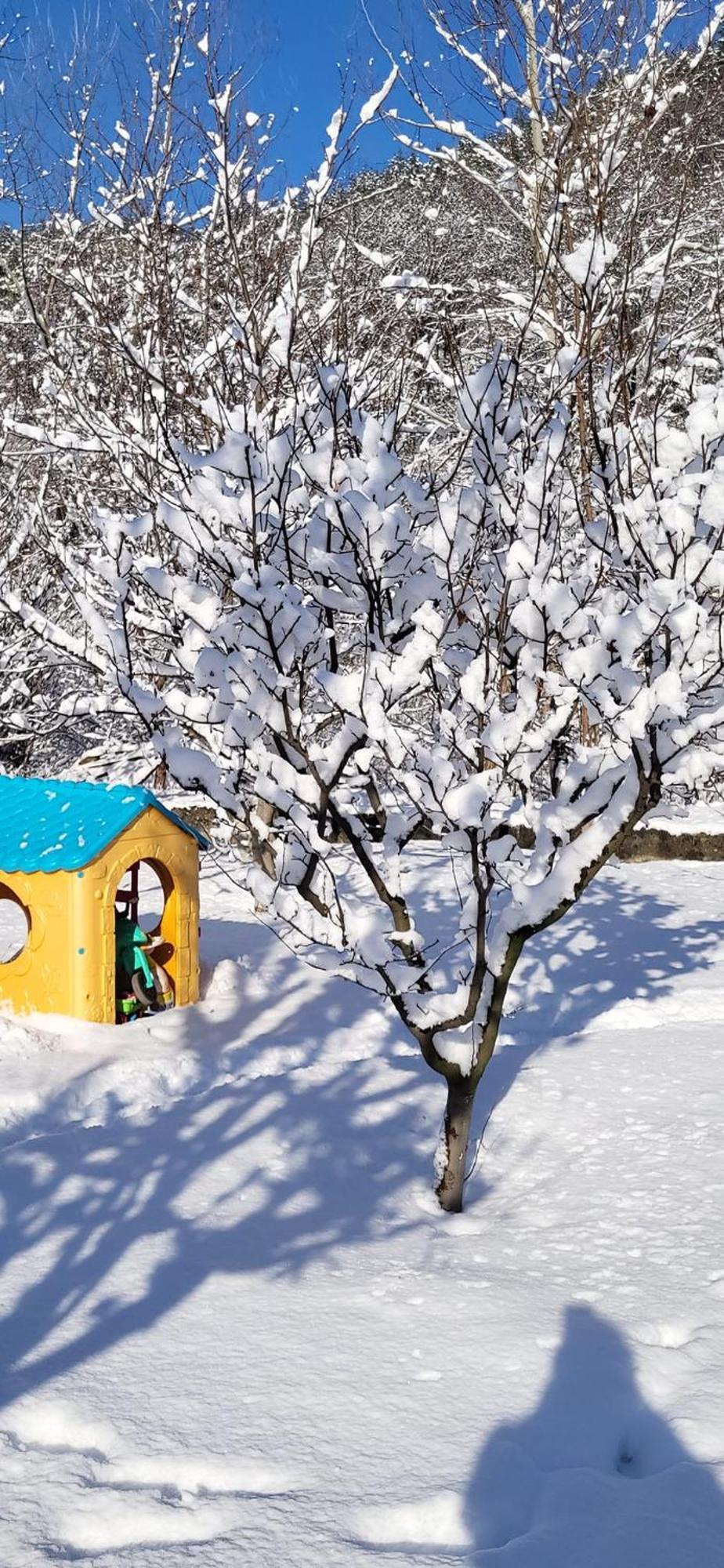 Casa Carbunaru Tîrgu Ocna Екстериор снимка