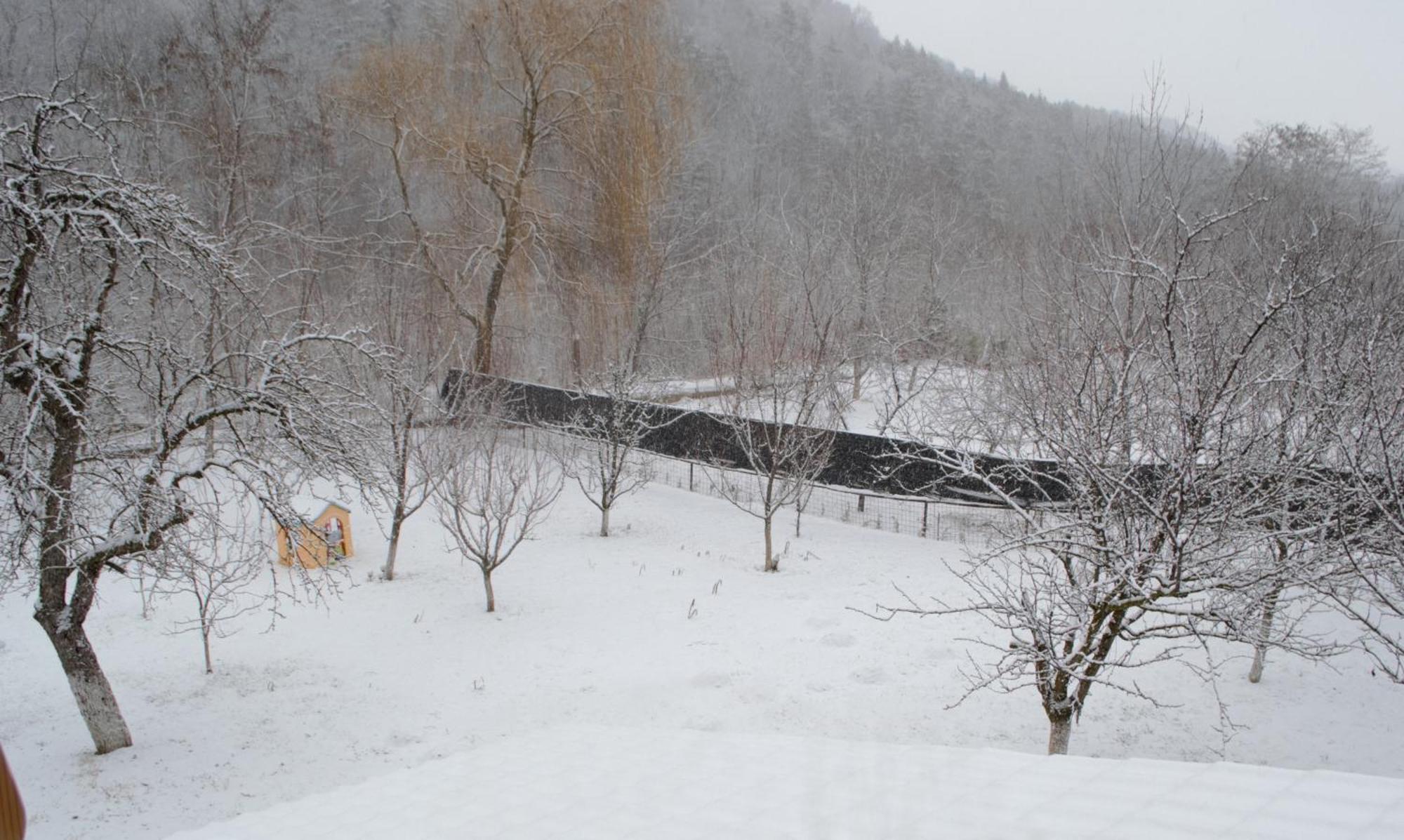 Casa Carbunaru Tîrgu Ocna Екстериор снимка